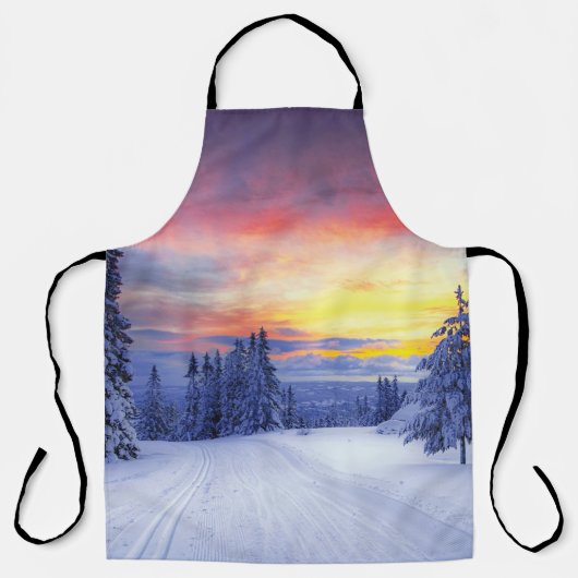 Winter scenery  エプロン (正面)