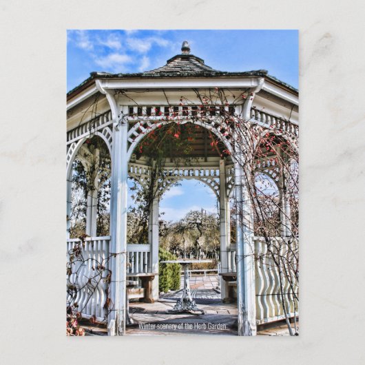 Winter scenery of the Herb Garden [Postcard] ポストカード (正面)
