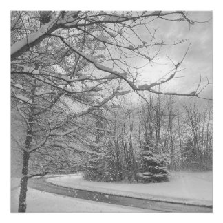 Winter Silence  ポスター