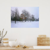 Winter Snow, Bute Park, Cardiff, Wales ポスター (キッチン)