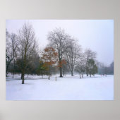 Winter Snow, Bute Park, Cardiff, Wales ポスター (正面)