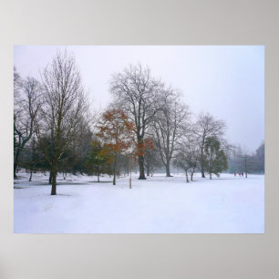 Winter Snow, Bute Park, Cardiff, Wales ポスター