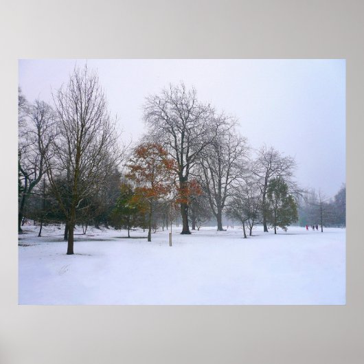 Winter Snow, Bute Park, Cardiff, Wales ポスター (正面)