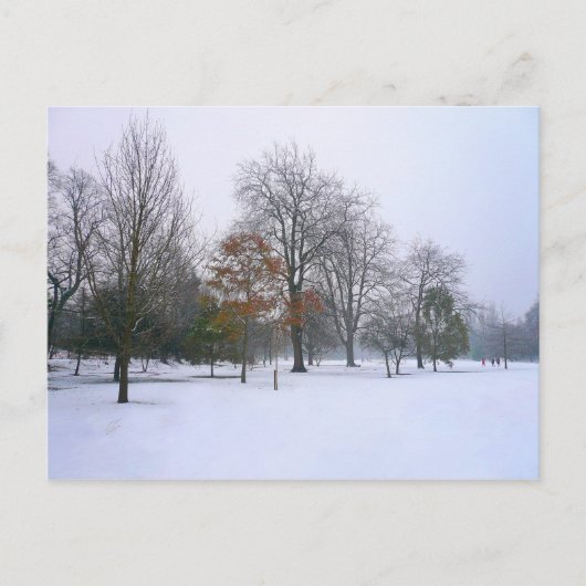 Winter Snow, Bute Park, Cardiff, Wales ポストカード (正面)