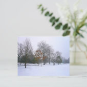 Winter Snow, Bute Park, Cardiff, Wales ポストカード (スタンド正面)