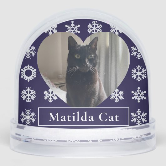 Winter Snow Cat Christmas Pet Photo Snow Globe (正面)