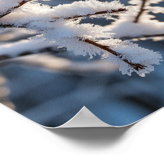 Winter Snow Frosty Tree Branch Sunlight ポスター (角)