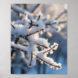 Winter Snow Frosty Tree Branch Sunlight ポスター