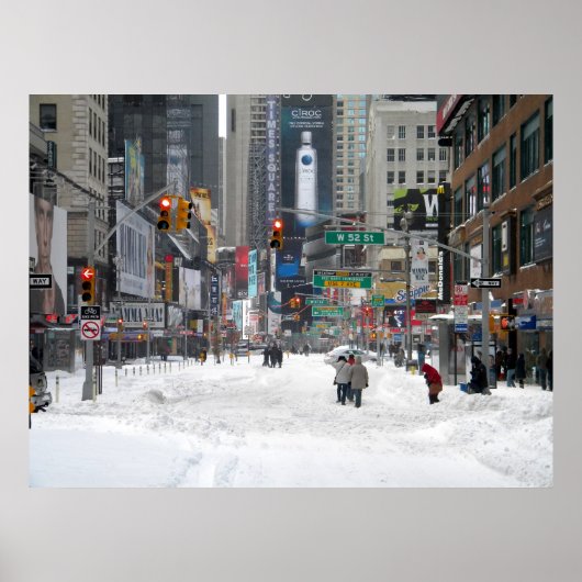 Winter Snow Storm New York City 12/26/10 ポスター (正面)