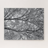 Winter Snow Tree Branches Photograph ジグソーパズル (横)