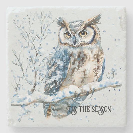 Winter Snowflakes Blue Owl Christmas Snow ストーンコースター (正面)
