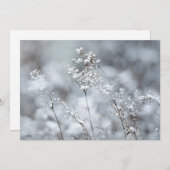 Winter Softness, snowy シーズンカード (正面/裏面)