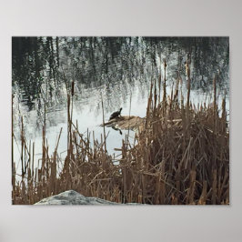 Winter Solstice ポスター