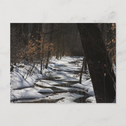 Winter Streamはがき ポストカード (正面)