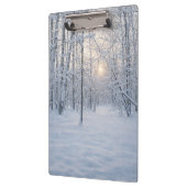 Winter Sunlight in Quiet Birch Forest クリップボード (左)