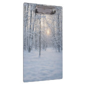 Winter Sunlight in Quiet Birch Forest クリップボード (右)