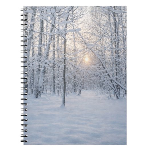 Winter Sunlight in Quiet Birch Forest ノートブック (正面)