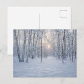 Winter Sunlight in Quiet Birch Forest ポストカード (正面/裏面)
