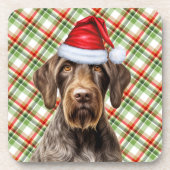 Winter Themed Wirehair Pointer Dog Holiday Plaid コースター (正面)