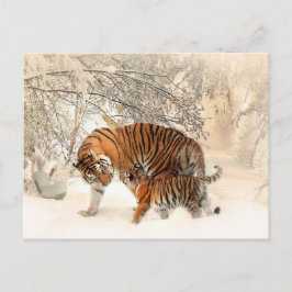 Winter Tigersはがき ポストカード