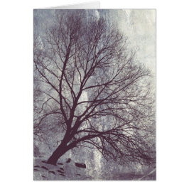 Winter Tree