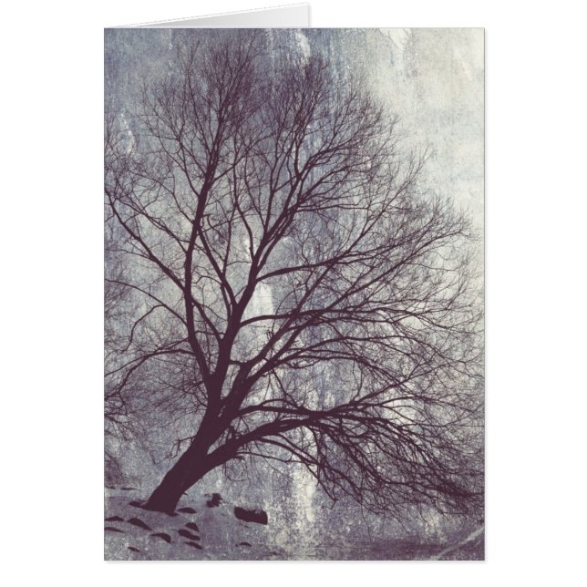 Winter Tree (正面)