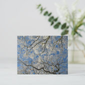 Winter Tree Canopy ポストカード (スタンド正面)