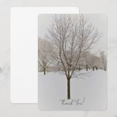 Winter Tree Photography (正面/裏面)
