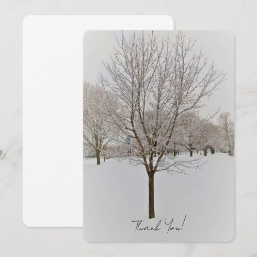 Winter Tree Photography (正面/裏面)