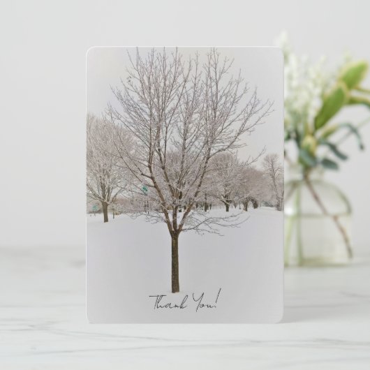 Winter Tree Photography (スタンド正面)