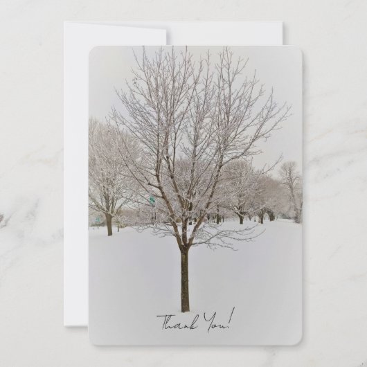 Winter Tree Photography (正面)