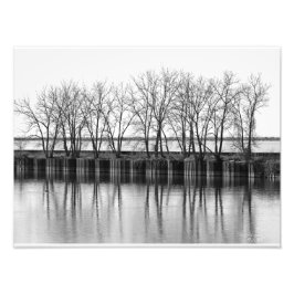 Winter Trees by the Water, B&Wフォトプリント フォトプリント