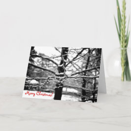 Winter v.2 [クリスマスカード] シーズンカード