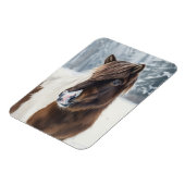 Winter Warmth – Icelandic Horse Watercolor Magnet マグネット (左側)
