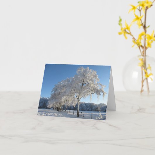 Winter Wonderland: Cheshire カード (黄色い花)