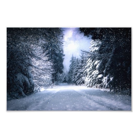 Winter Wonderland Forest Snowfall フォトプリント (正面)