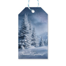 Winter Wonderland Frosted Trees Snowy Forest