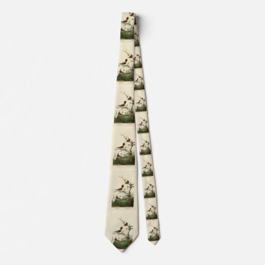 Winter Wren, Rock Wren, Audubon's Birds of America ネクタイ (正面)