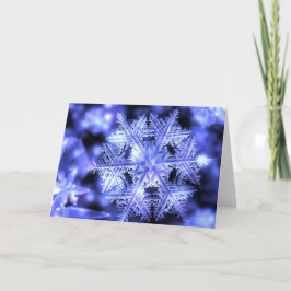 Winterbornのクリスマスカード シーズンカード