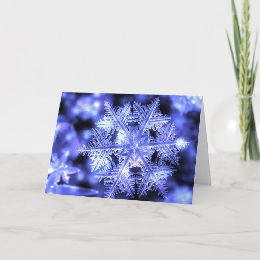 Winterbornのクリスマスカード シーズンカード (正面)