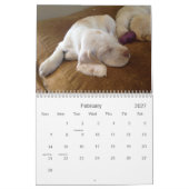 Winterborn Spinoneの~は~の子犬のカレンダーMed.を修正しました カレンダー (2月 2027)