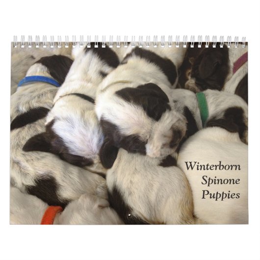 Winterborn Spinoneの~は~の子犬のカレンダーMed.を修正しました カレンダー (カバー)