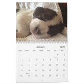 Winterborn Spinoneの~は~の子犬のカレンダーMed.を修正しました カレンダー (1月 2027)