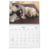 Winterborn Spinoneの~は~の子犬のカレンダーMed.を修正しました カレンダー (3月 2027)