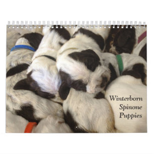 Winterborn Spinoneの~は~の子犬のカレンダーMed.を修正しました カレンダー