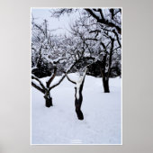 Winterland by Johannes Stötter ポスター (正面)