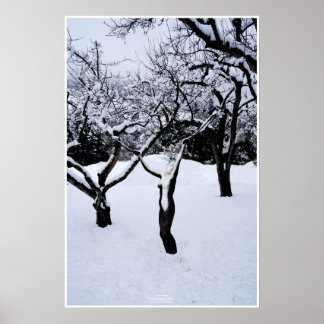 Winterland by Johannes Stötter ポスター