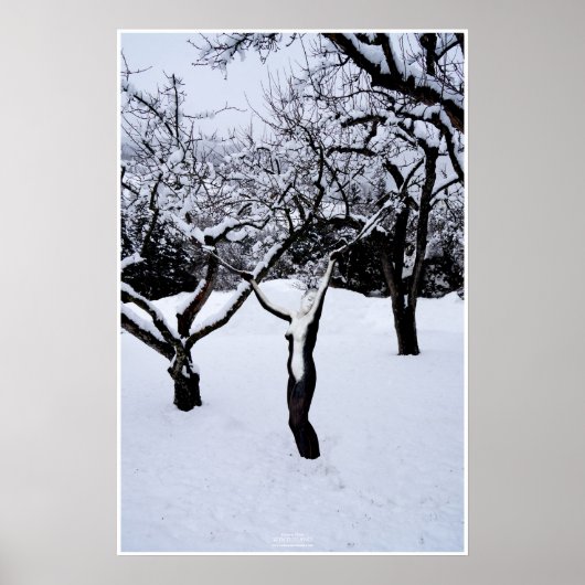 Winterland by Johannes Stötter ポスター (正面)