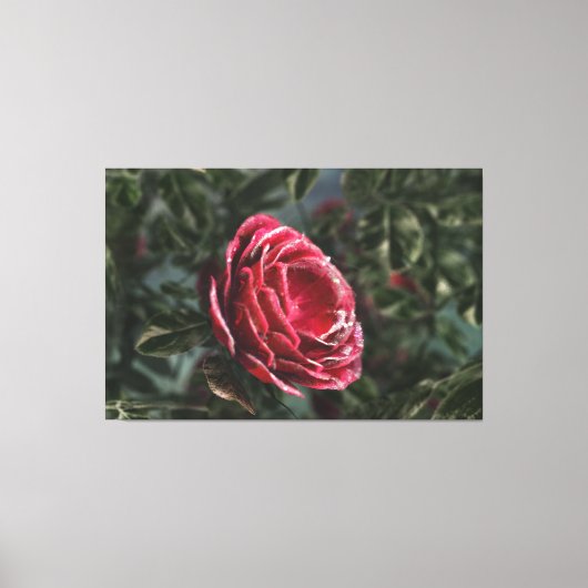 Winter's Parting Gift Canvas Print キャンバスプリント (正面)
