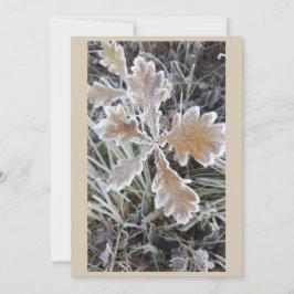  „Winterzauber – Einladung mit vereistem Blatt“ カード